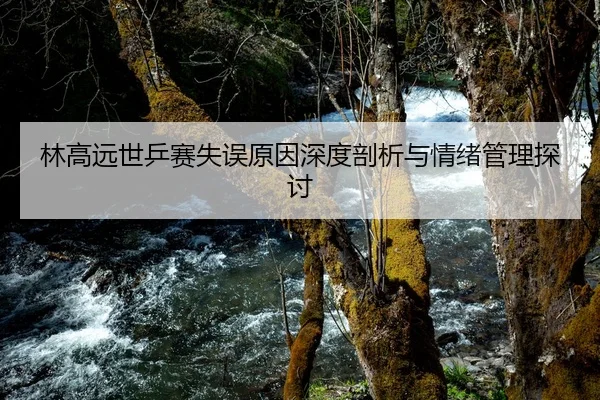 林高远世乒赛失误原因深度剖析与情绪管理探讨